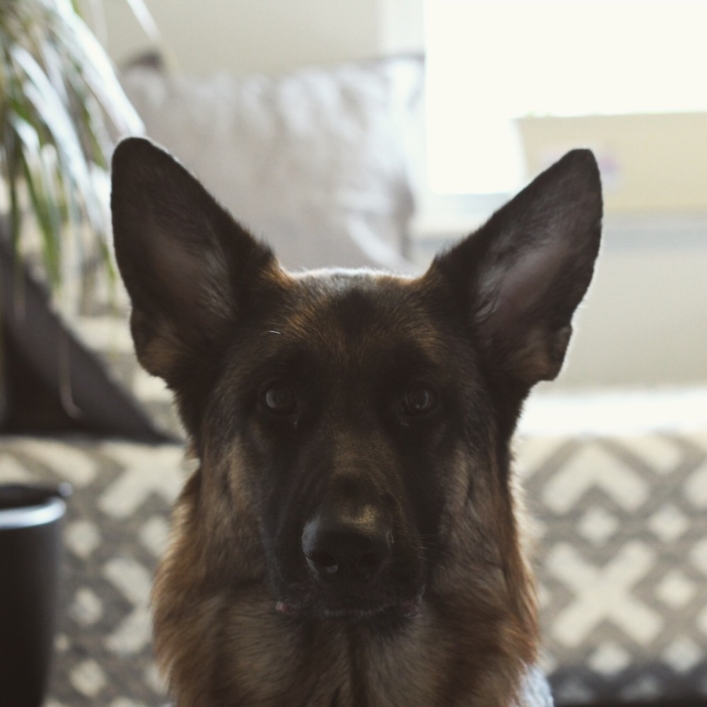 Meet your Posher, Tori